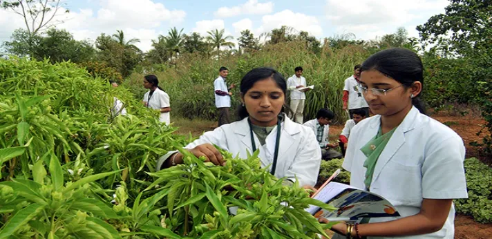 Atreya Ayurvedic College Bangalore Herbal Garden