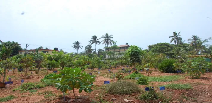 Karnataka Ayurvedic College Herbal Garden