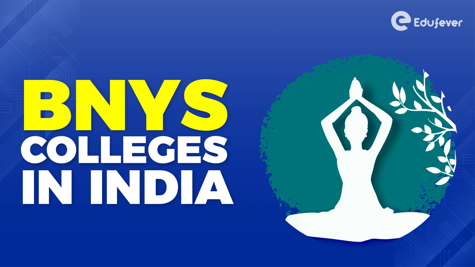 BNYS Colleges in India