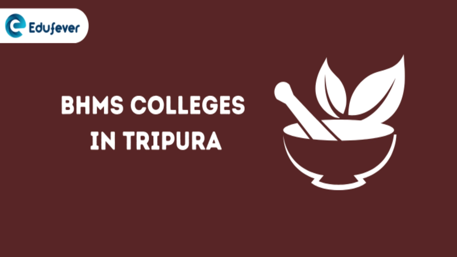 List of BHMS Colleges in Tripura