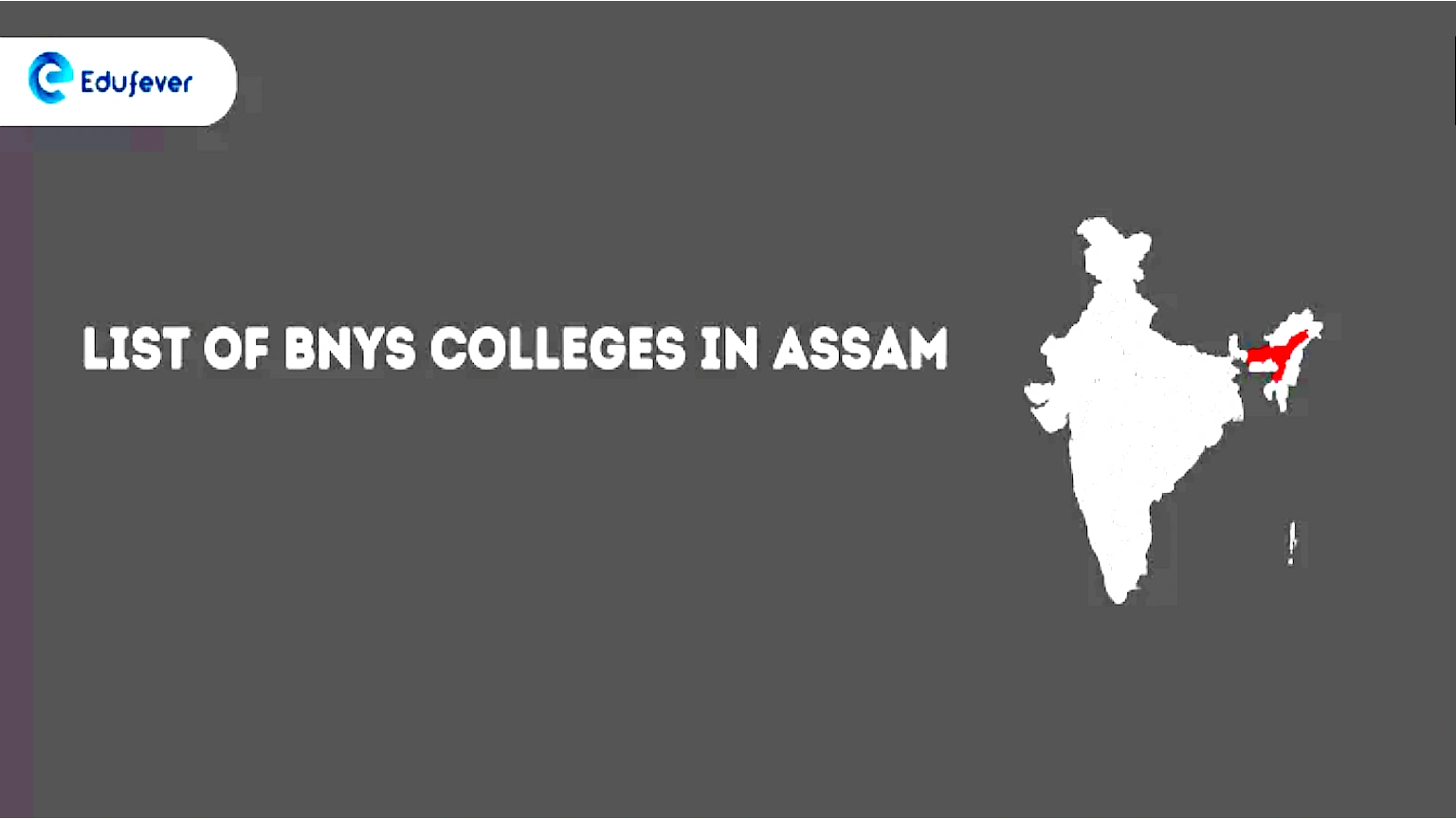 List of BNYS Colleges in Assam