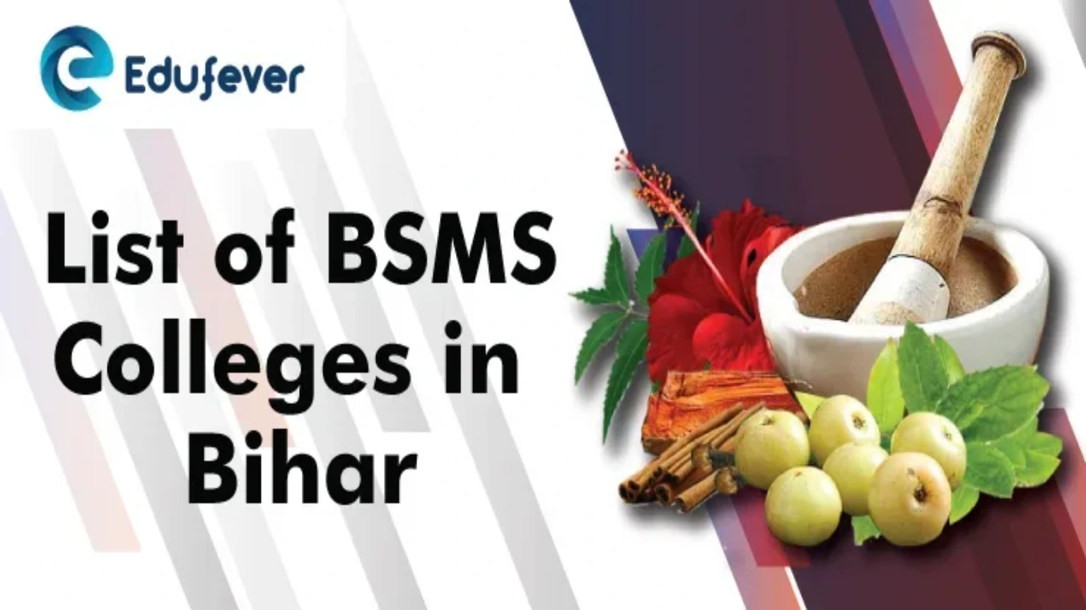 List of BSMS Colleges in Bihar