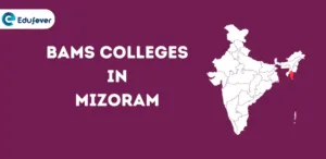 List of BAMS Colleges in Mizoram