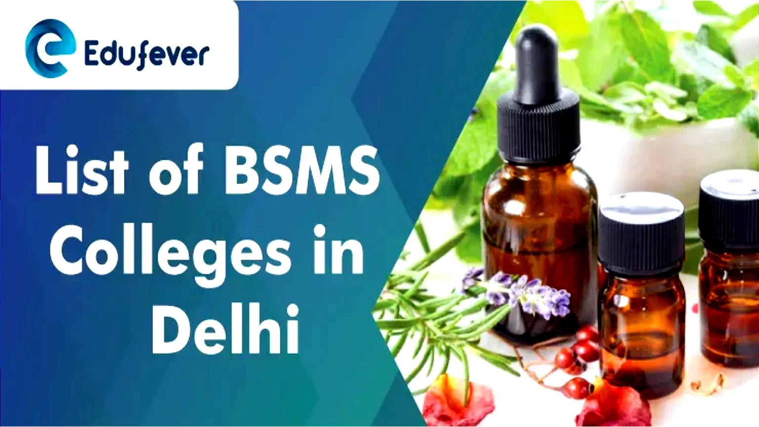 List of BSMS Colleges in Delhi