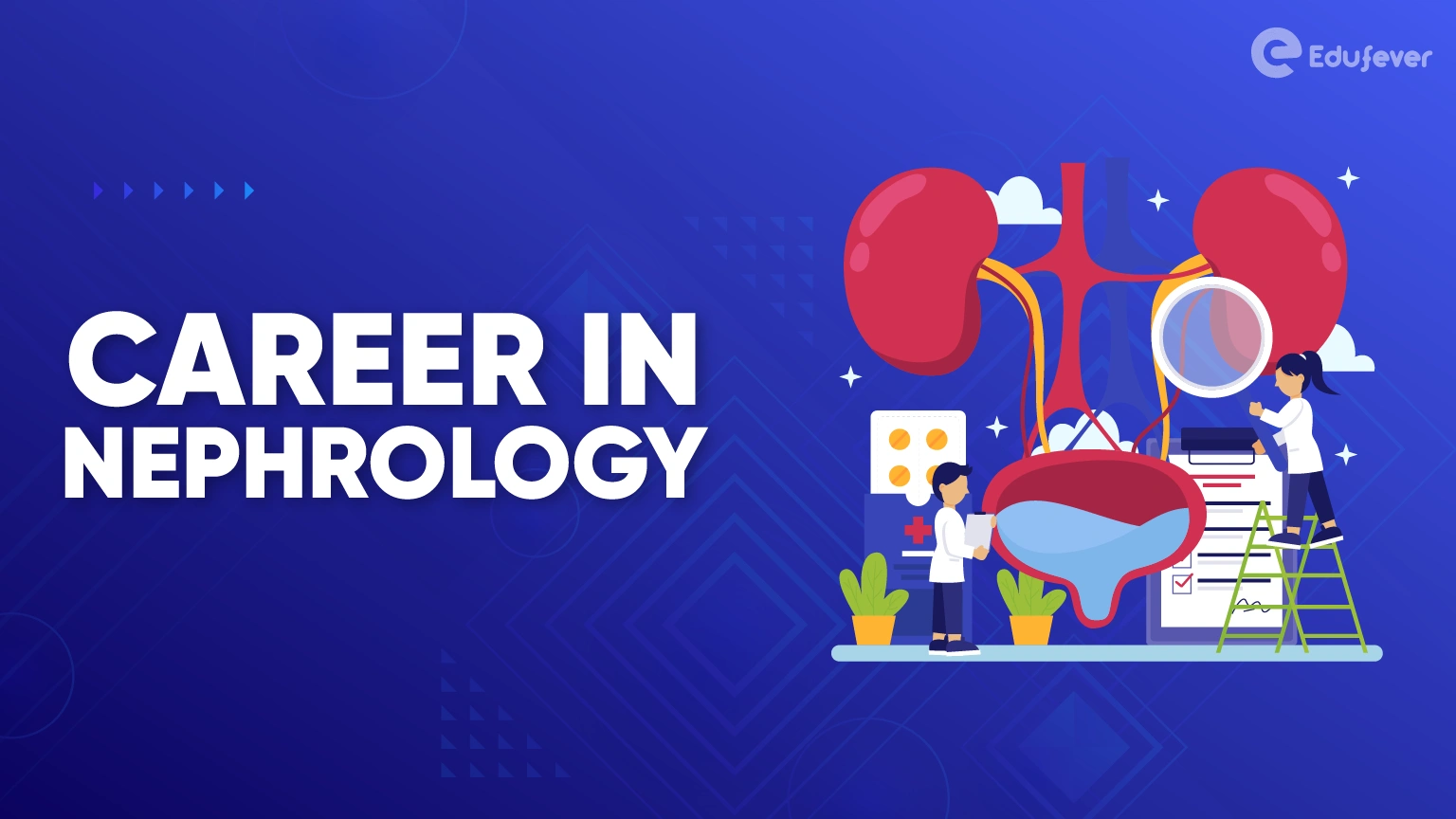 Career in Nephrology