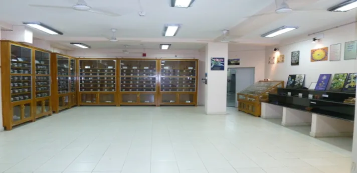 National Institute of Siddha Chennai Museum