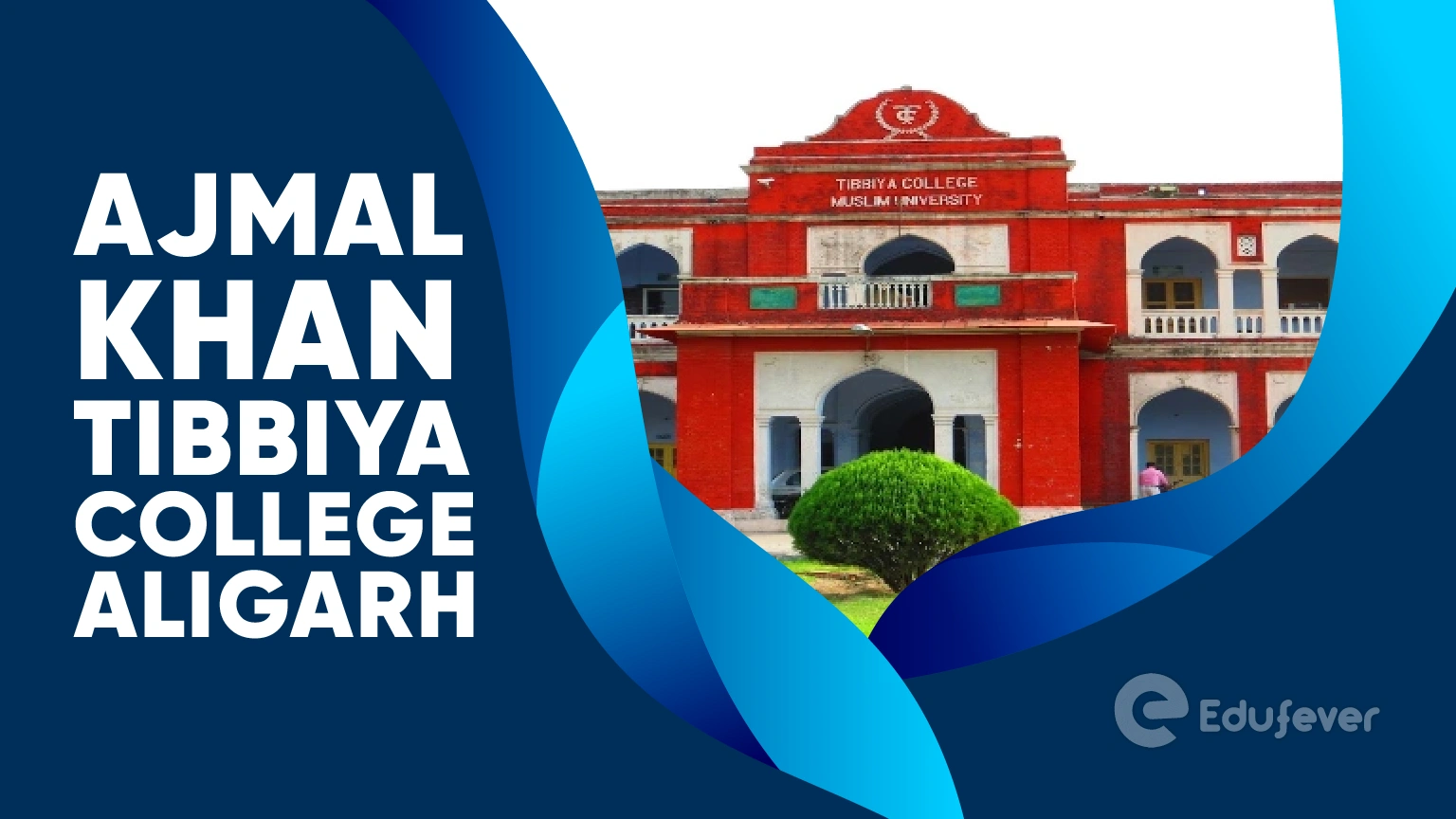 Ajmal Khan Tibbiya College Aligarh