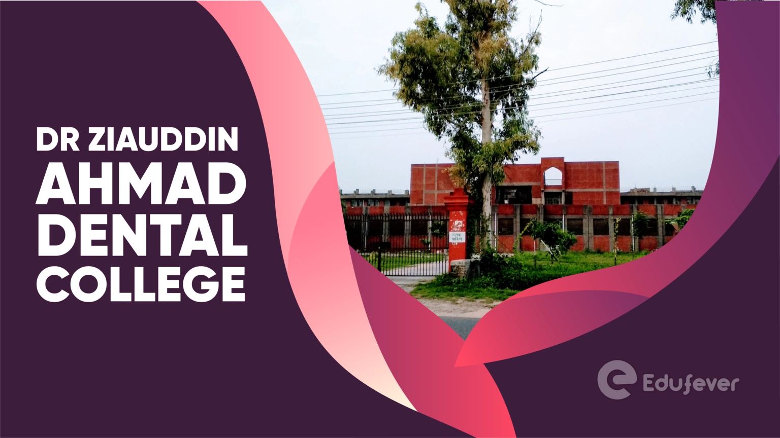 Dr Ziauddin Ahmad Dental College