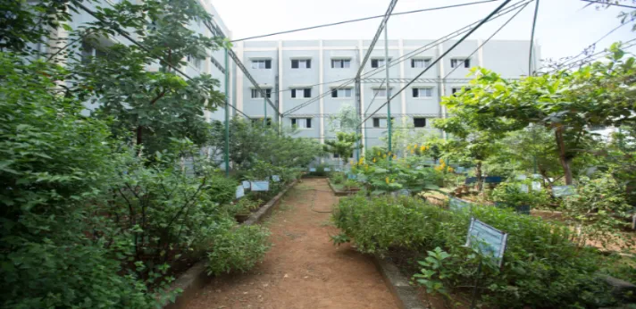 Sairam Homoeopathy Medical College Herbal Garden