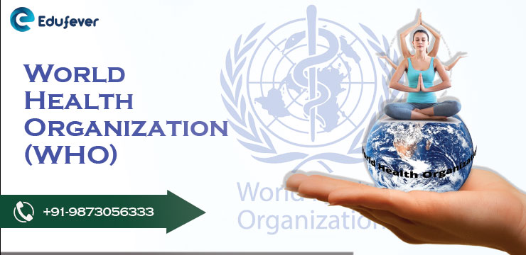 WHO (World Health Organization): History, Jobs