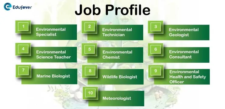 Career In Environmental Science In India