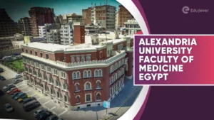 Alexandria University Faculty of Medicine