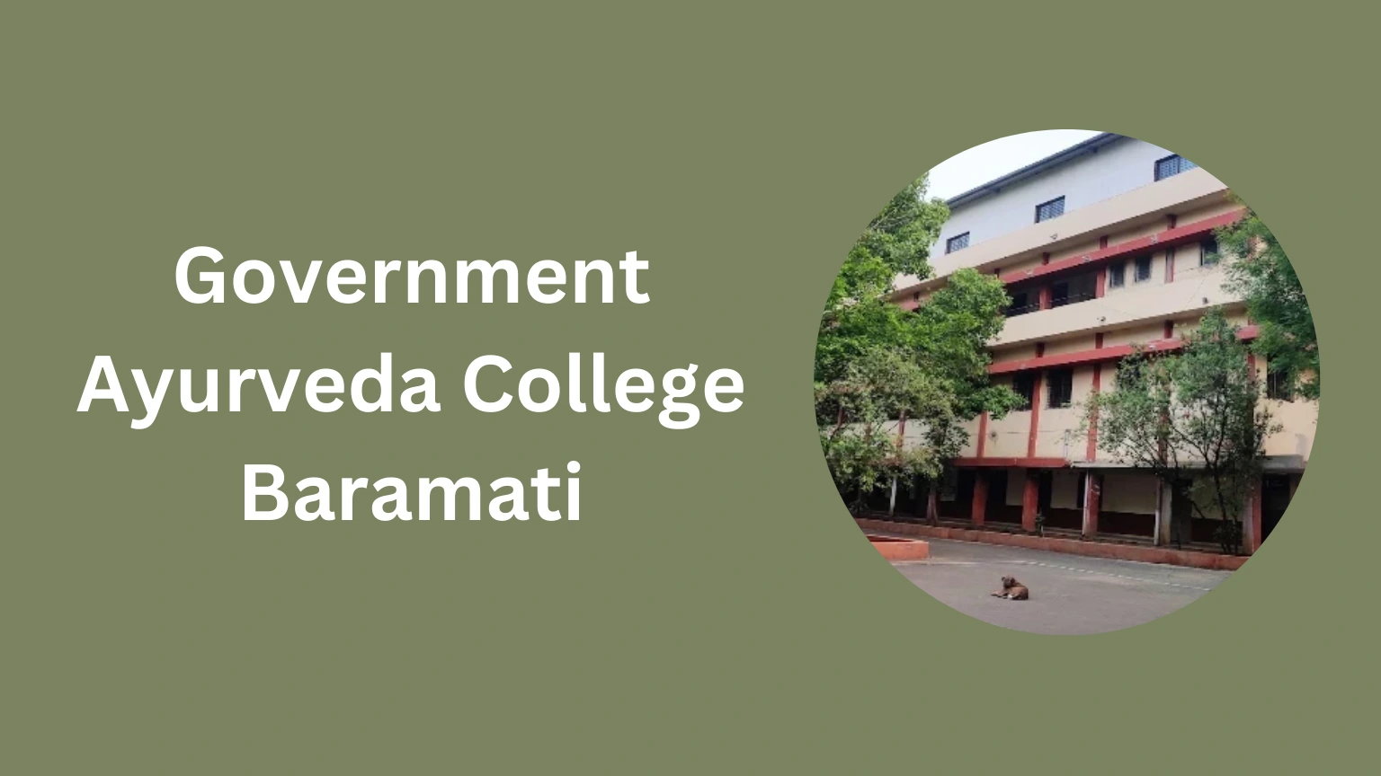 Government Ayurveda College Baramati-