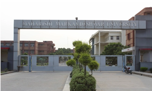 MMU Ambala Medical College Entry View