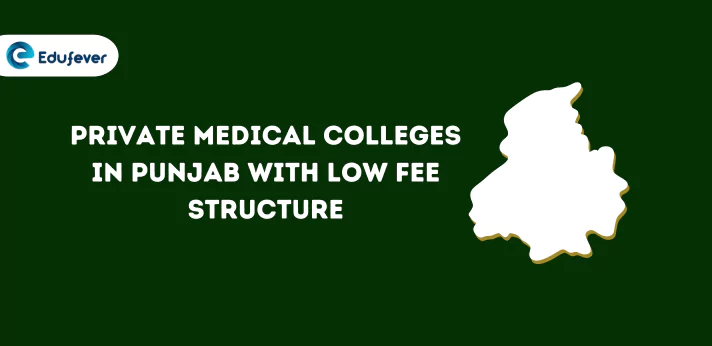 Private Medical Colleges In Punjab With Low Fee Structure 2024 25 