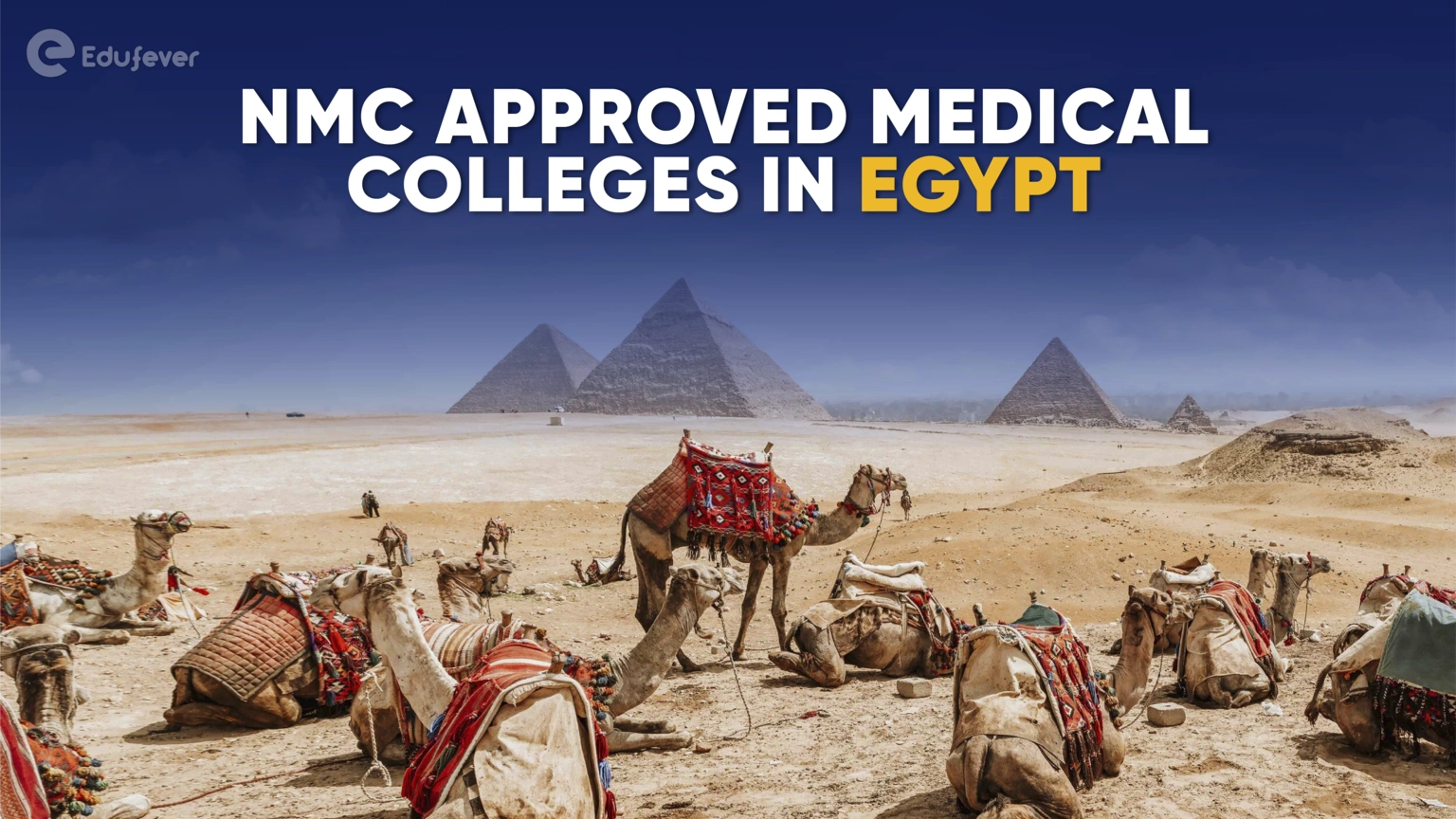 NMC Approved Medical Colleges in Egypt