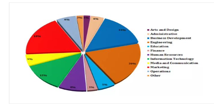 Jaipur National University Placement Statistics